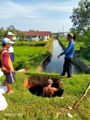 Memperbaiki tanggul jebol di suplesi BSR DI Kelingi Tugumulyo